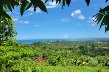 Vues panoramiques sur la mer et la montagne