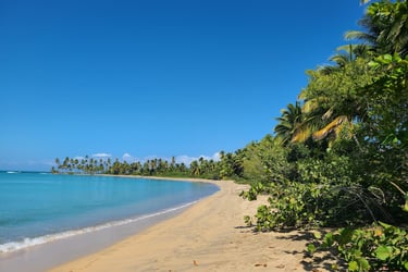 Miches Playa Esmeralda