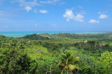 Un cadre sécurisé et transparent pour les investisseurs internationaux