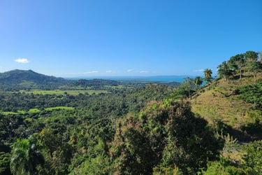 Investir a Miches Republique Dominicaine