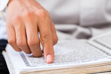 Tailored curriculum for Quran and Arabic