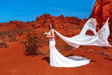 Bride in a white wedding dress posing at Valley of Fire State Park with a flowing long veil.