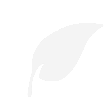 rawthentic