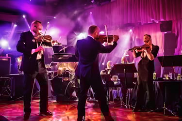 Live entertainment services for weddings, corporate events, and private parties