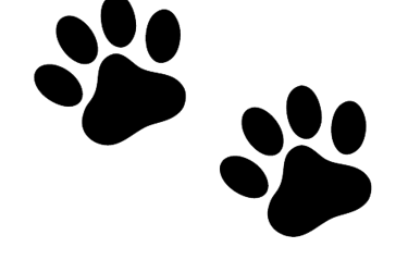 Paw prints