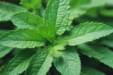 Bright living room with modern inventory