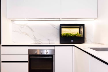 Sistema CultEvo installato in cucina domestica per coltivazione indoor