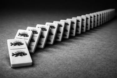 The domino effect of small scale interventions