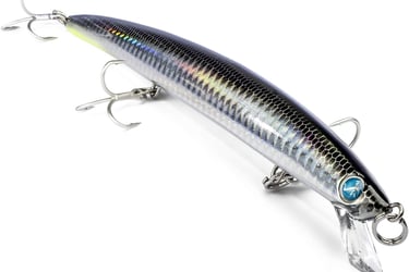 Seaspin Mommotti 180 SS Acc SW Fishing Lure