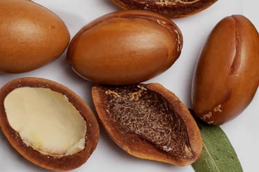 Plusieurs noyaux de noix d'Argan. Certains sont concassés et on voit les amandons à l'intérieur