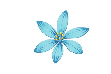 Macro spa in chennai