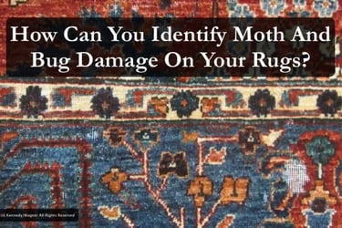 Identify moth damage in rugs