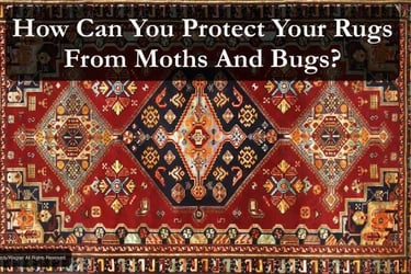 Protect your rug from moth larvae and bugs