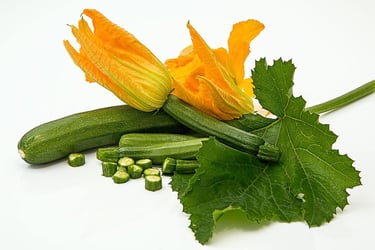 a squashcori squashcori squashcori squashcori squash squash squash