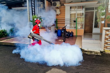 Pest Control