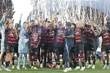 Flamengo sub-20, bicampeão mundial.