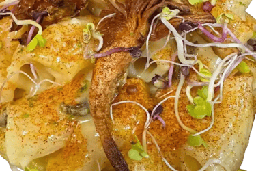 PÂTES RIGATI HABILLÉES D'UNE CRÈME DE POIREAUX, BEURRE DES ALPES, ARTICHAUTS