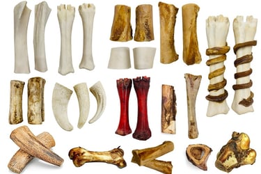 Variety of natural dog chew bones and long-lasting marrow treats for pet dental health.