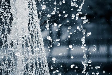 Water Conservation Issues