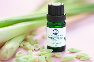 lemongrass essential oil