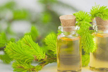tea tree essential oil