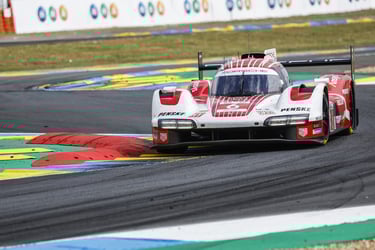 Kevinas Estre Le Manas Porsche WEC