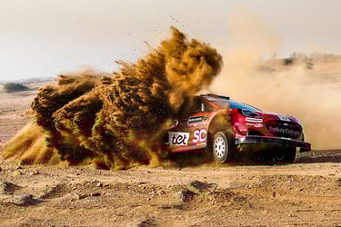 Matinšas Sesksas Ford