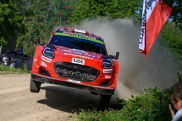 Martinsas Sesksas Ford