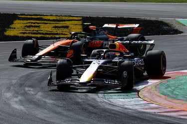 Maxas Verstappenas Red Bull