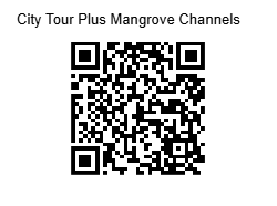 City tour plus mangrove channels