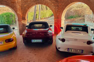 a group of cars parked in a garage