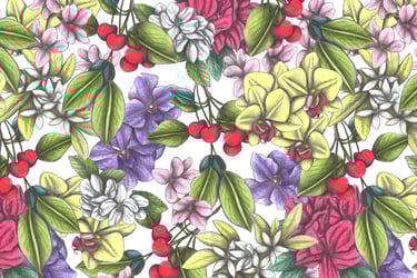 Hand-drawn flowers and cherries pattern with a white background