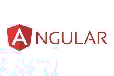 expertise in angular technology