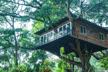 Tree Hut Hotel: Toilets, Hot water supply wish shower facilities
