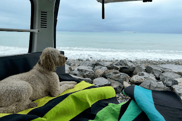 Dog in camper van looking out to sea