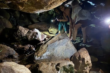 cave hunting and trekking in Kanneliya Rainforest