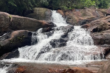 Kanneliya Forest Reserve Waterfalls