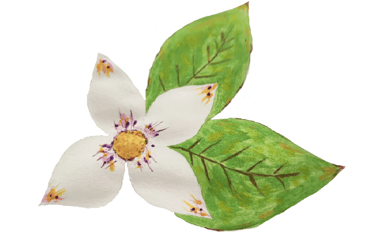 Logo Margot à l'écoute