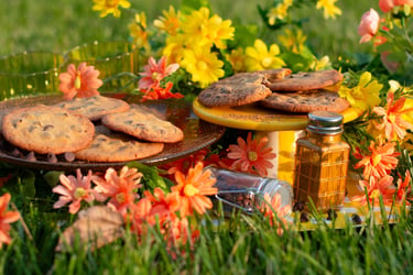 Beautiful Chocolate chip cookie