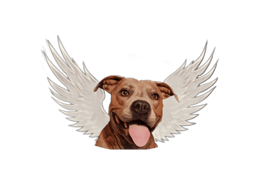 A happy dog with white angel wings against a black background. The dog's tongue is out, expressing joy and playfulness.