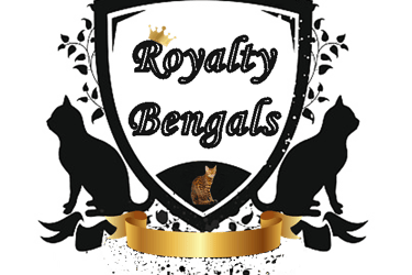 Royalty Bengals logo featuring a crest with cat silhouettes and a spotted Bengal kitten.