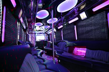 luxury interior of 20 passengers party bus with amenities in NJ, MA, NY, CT