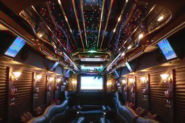 30-40 passengers party bus interior along with amenities in NJ, NY, MA and CT