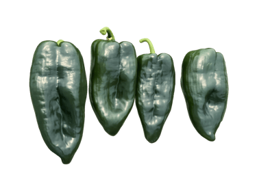 Chile Ancho