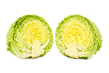Lechuga