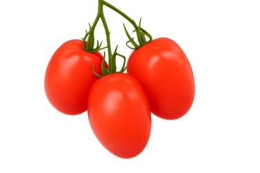 Tomate