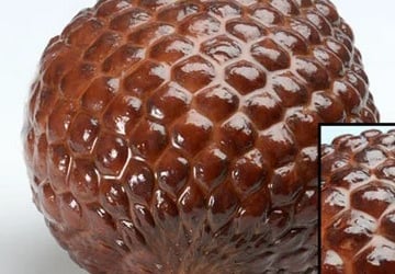 High definition meat netting