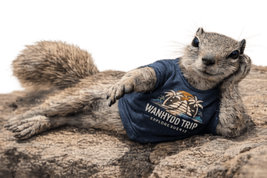 Ardillas Fuerteventura