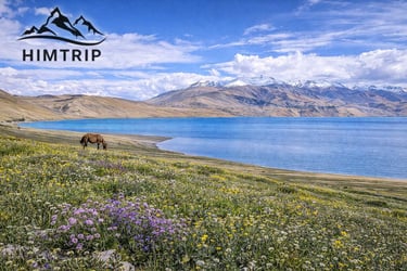 Tso Moriri Changthang Trek - Himtrip