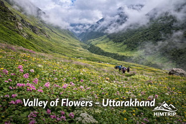 Valley of Flowers Trek - Himtrip